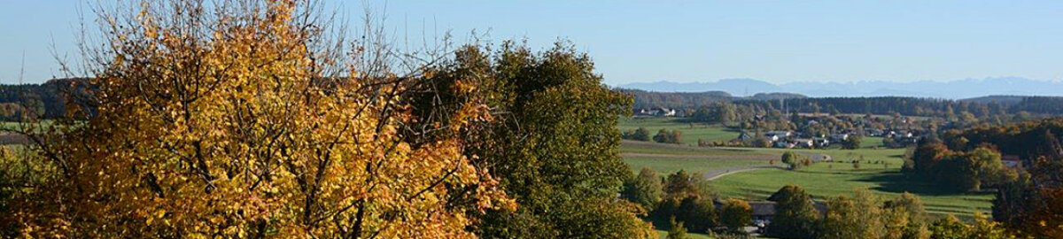  Bäume und Landschaft