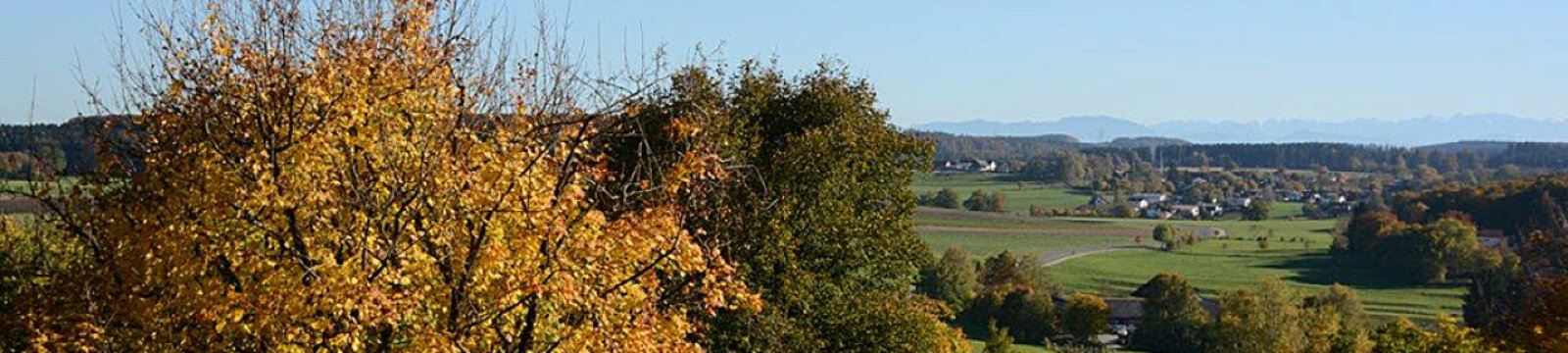  Bäume und Landschaft