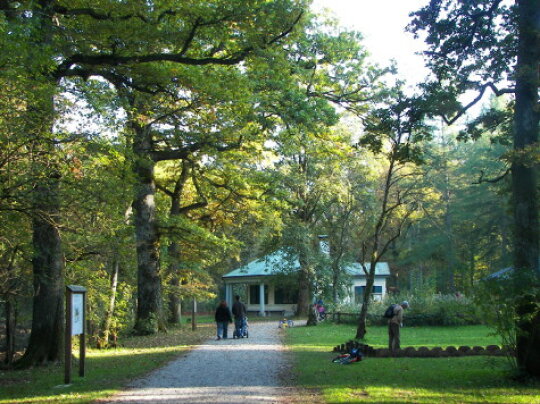 Walderlebniszentrum Gruenwald